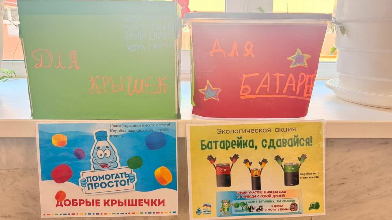 Маленькие герои: как дети меняют мир через волонтерство