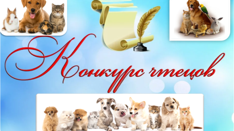 НОВЫЕ ПОБЕДЫ