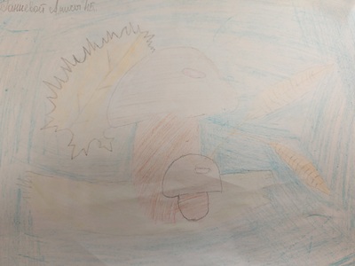 Ганиева Аниса, 4Б