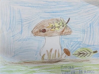 Бурова Таисия, 1Б