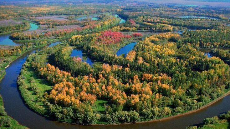Здесь мы живём, учимся, взрослеем